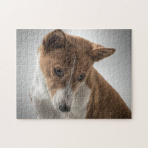 Basenji Puzzle