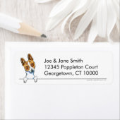 Basenji sauber und einfach (Insitu)