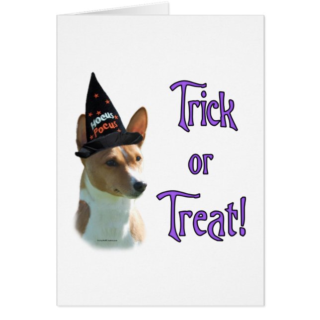 Basenji Trick (Vorne)