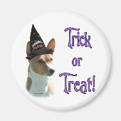 Basenji Trick Magnet (Vorne)