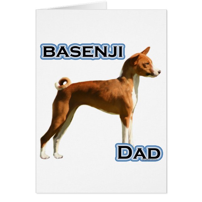 Basenji-Vater 4 (Vorne)