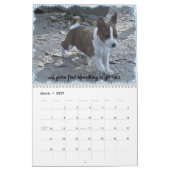 Basenji Welpen-Kalender 2010 Kalender (Mär 2027)