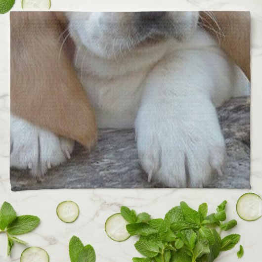 BaSeT HoUND Handtuch (Gefaltet)