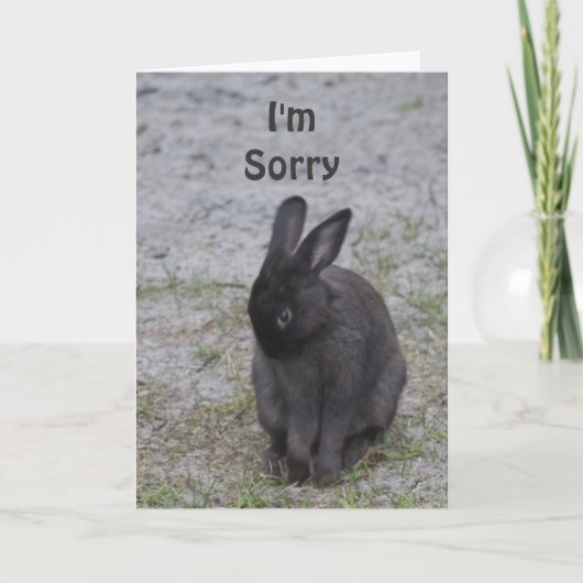 Bashful Bunny Rabbit Karte (Vorderseite)