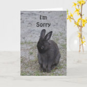 Bashful Bunny Rabbit Karte (Gelbe Blume)