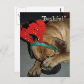 Bashful English Mastiff Hund mit Rentier Antler Postkarte (Vorne/Hinten)