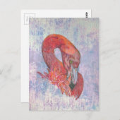 Bashful Flamingo Postkarte (Vorne/Hinten)