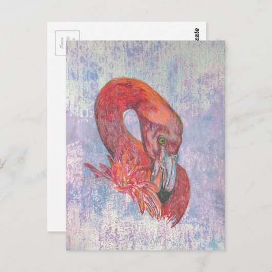 Bashful Flamingo Postkarte (Vorne/Hinten)