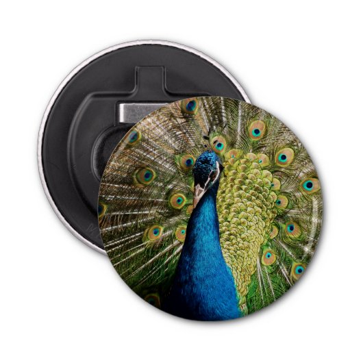 Bashful Peacock Flaschenöffner (Vorderseite)
