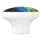 Bashful Peacock Keramikknauf (Seitenansicht)