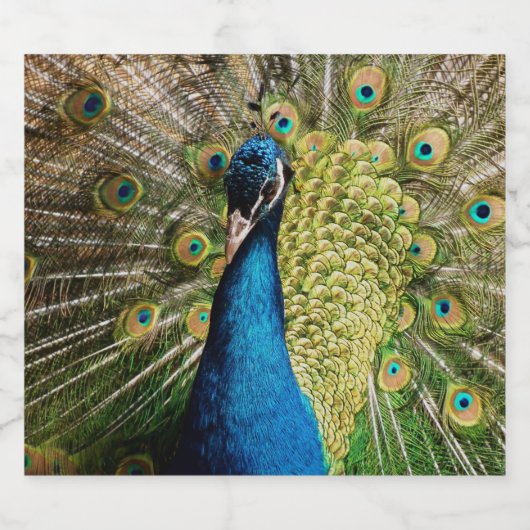 Bashful Peacock Schaumweinetikett (Einzelnes Label)