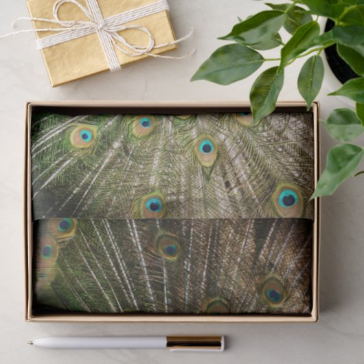 Bashful Peacock Seidenpapier (Geschenk)
