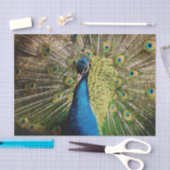 Bashful Peacock Seidenpapier (Handwerk)