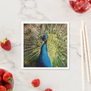 Bashful Peacock Serviette