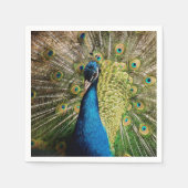 Bashful Peacock Serviette (Vorderseite)