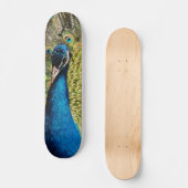 Bashful Peacock Skateboard (Vorderseite)