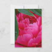 Bashful Pink Peony Mitteilungskarte (Vorderseite)
