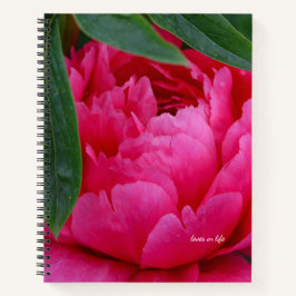 Bashful Pink Peony Notizblock