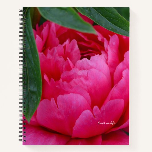 Bashful Pink Peony Notizblock (Vorderseite)