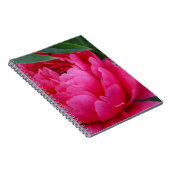 Bashful Pink Peony Notizblock (Rechte Seite)