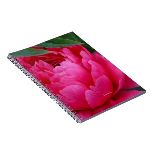 Bashful Pink Peony Notizblock (Rechte Seite)