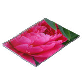 Bashful Pink Peony Notizblock (Linke Seite)