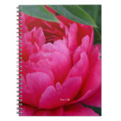 Bashful Pink Peony Notizblock (Vorderseite)