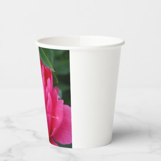 Bashful Pink Peony Pappbecher (Links)