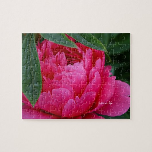 Bashful Pink Peony Puzzle (Horizontal)