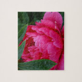 Bashful Pink Peony Puzzle (Vertikal)