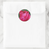 Bashful Pink Peony Runder Aufkleber (Tasche)