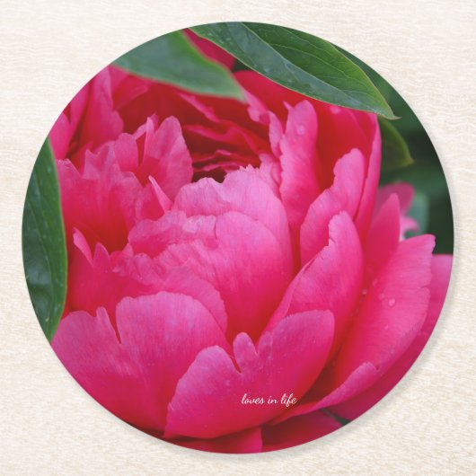 Bashful Pink Peony Runder Pappuntersetzer (Vorderseite)