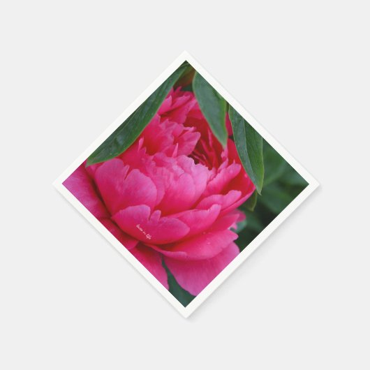 Bashful Pink Peony Serviette (Ecke)