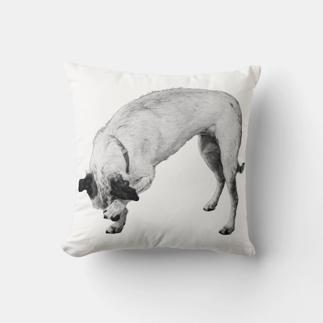 Bashful Pup, Cosy Corner Kissen (Vorderseite)