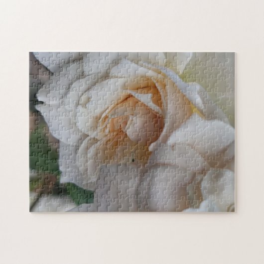 Bashful Roses Puzzle (Horizontal)