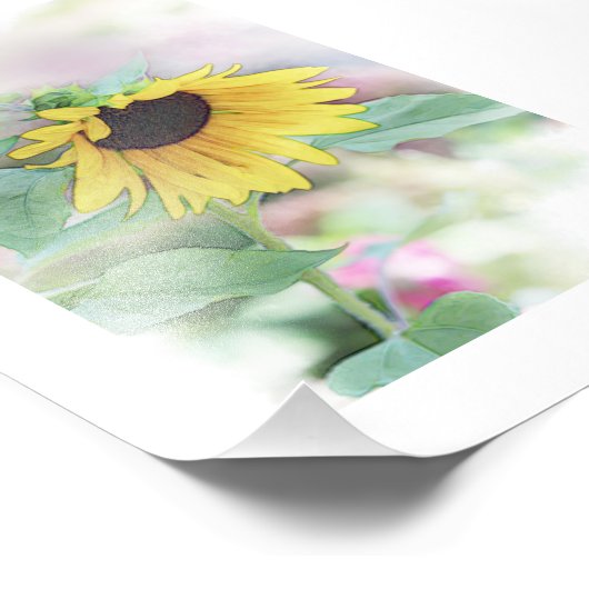 'Bashful Sunflower' Fotodruck (Ecke)