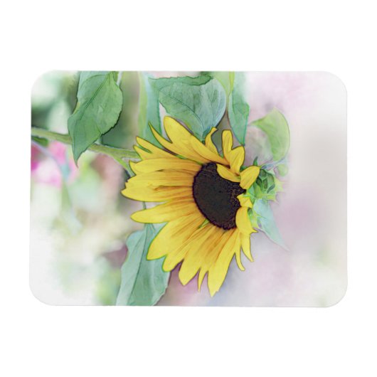 'Bashful Sunflower' Magnet (Horizontal)