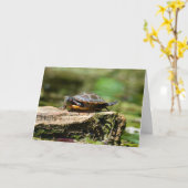 Bashful Turtle Birthday Card, 5x7 Karte (Gelbe Blume)