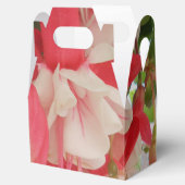 Bashkirtseff Geschenkschachtel (Geöffnet)