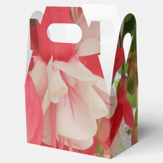 Bashkirtseff Geschenkschachtel (Geöffnet)