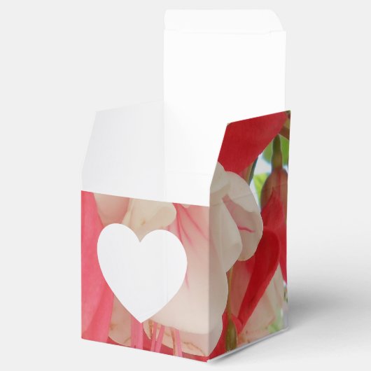 Bashkirtseff Geschenkschachtel (Geöffnet)