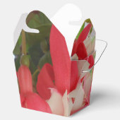 Bashkirtseff Geschenkschachtel (Geöffnet)