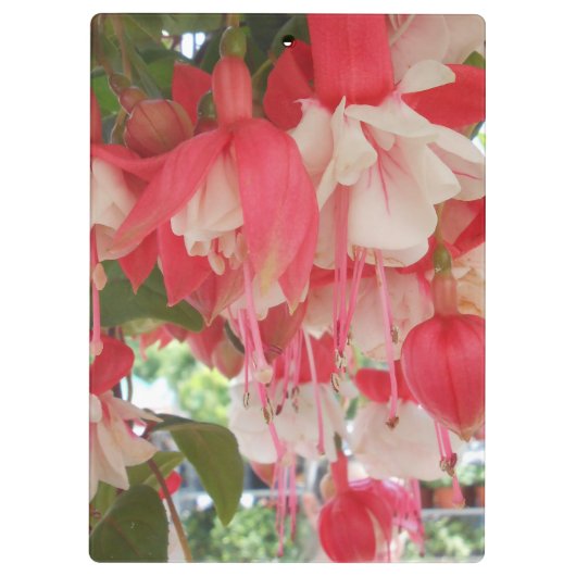 Bashkirtseff Klemmbrett (Rückseite)