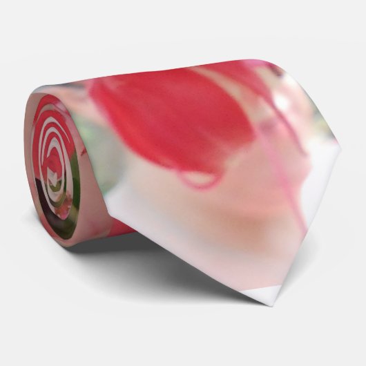 Bashkirtseff Krawatte (Gerollt)