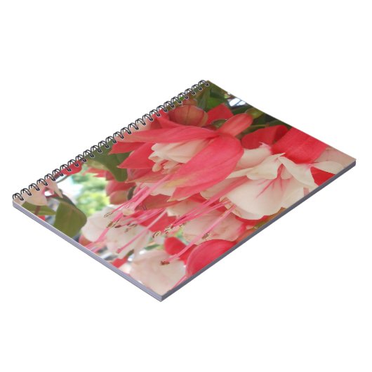 Bashkirtseff Notizblock (Linke Seite)