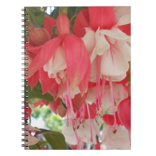 Bashkirtseff Notizblock (Vorderseite)