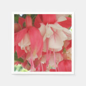 Bashkirtseff Serviette (Vorderseite)