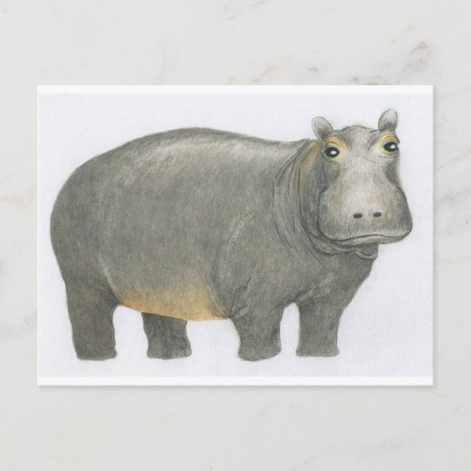 Basic Hippo Postkarte (Vorderseite)