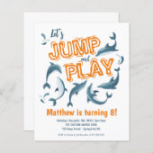 Basic Jump Play Dolphin Park Kinder Party Geburtst (Vorne/Hinten)