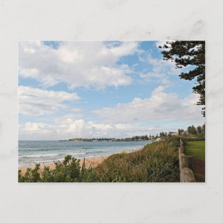 Basic semi gloss postcard postkarte